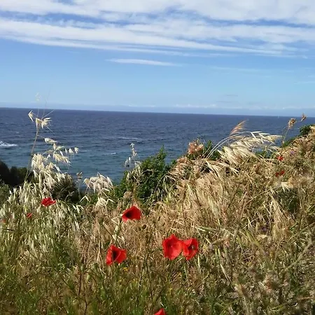 Monolocale With Amazing Sea View Apartament